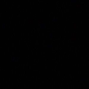 Meet your Posher, Van